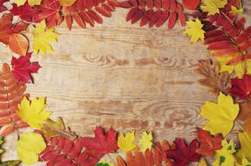 Wooden texture background framed by colorful autumn leaves. Copy space.