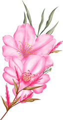 Obraz premium Watercolor sakura cherry blossom flower bouquet wreath decoration