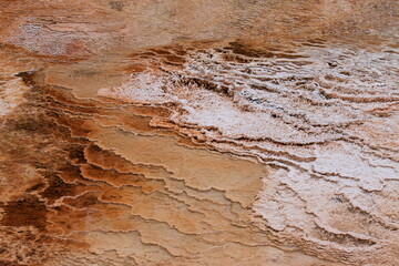wavy abstraction