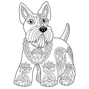recommend clip art: Cute scottish terrier dog. Adult coloring book page in mandala style.