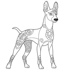 Cute doberman dog. Adult coloring book page in mandala style.