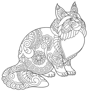 Cute maine coon cat. Adult coloring book page in mandala style.