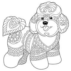 Cute bichon frise dog. Adult coloring book page in mandala style.