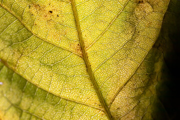 Feuille 181122 04