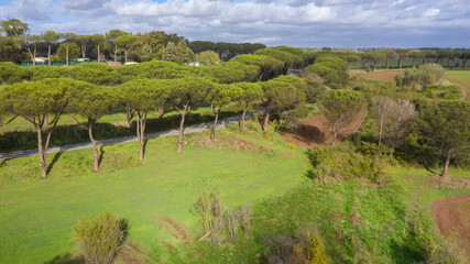 Aerial landscape with grass and trees