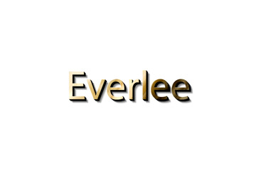 EVERLEE 3D MOCKUP
