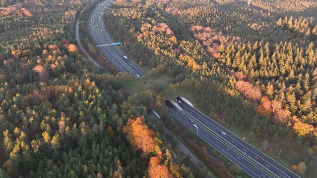 Ecoduct, ecopassage, nature bridge or game changeover. Infrastructure structure for animals and other wildlife to cross traffic, passage over a highway. Nature and man made objects merge.