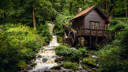 old mill in the woods