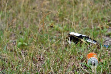 Grass background with defocused trash, a tin and a wine bottle. There is a lot of copy space on the left side. Symbol of environmental damages caused by man. Blades of grass are focused in foreground.
