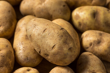 Homemade Organic Brown Russet Potatoes