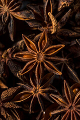 Raw Brown Organic Star Anise Spice