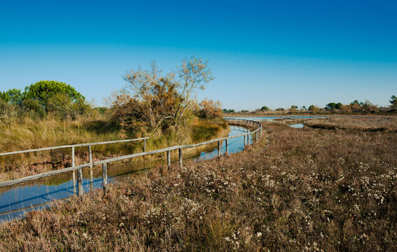 Autumn in the Botanical Garden of Porto Caleri, Italy. Trail flooded due to high tide.