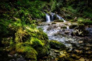Wasserfall mit Mystik im Wald