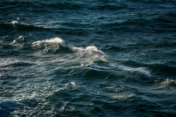 Rauer Seegang mit Gischt und Möwen