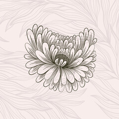 Flower line hand drawn style. One object vintage design. Elegant plant William Moriss drawing style. - obrazy, fototapety, plakaty