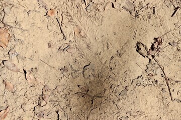 A close view of the hard dry dirt surface.
