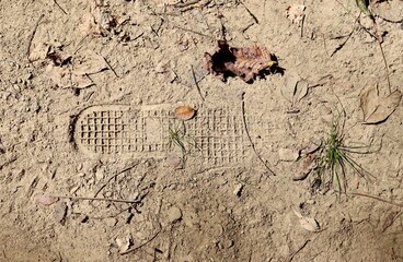 A close view of the shoe print in the dry dirt.
