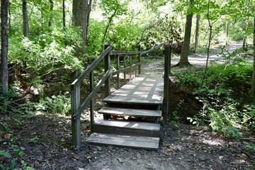 The old wood footbridge on the trail in the forest.