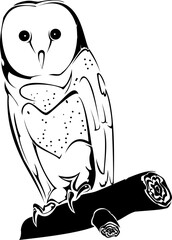 owl iconograpy