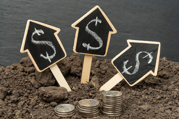 The figure of a house with a stack of coins Against the background of the earth. The concept of investment property and housing construction.