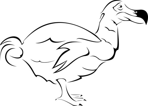 recommend clip art: dodo iconography, tattoo