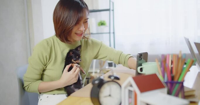 Happy young Asian woman owner holding cute pet chihuahua dog and taking photo selfie or video call with friend on smartphone and smiling at home