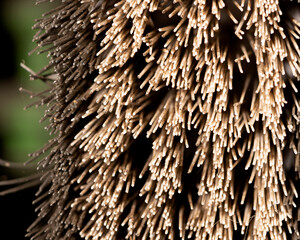 close up of nylon brush bristles