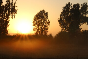 morning sunrise
