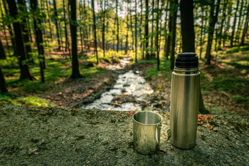 Obraz premium Thermo Flasche im Wald mit Tasse