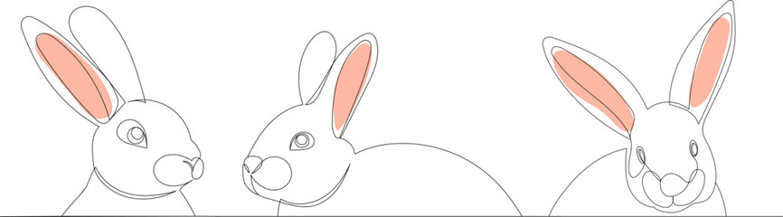rabbits portrait continuous line drawing