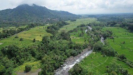 Naklejka na ściany i meble Bali, Indonesia - November 13, 2022: The Bali Terrace Rice Fields