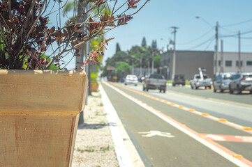 Plant pot in the middle of a street with bike path next door and space intended for pedestrians