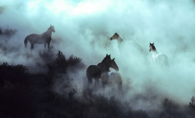 Cowboys wrangling horses on a ranch near Bend Oregon