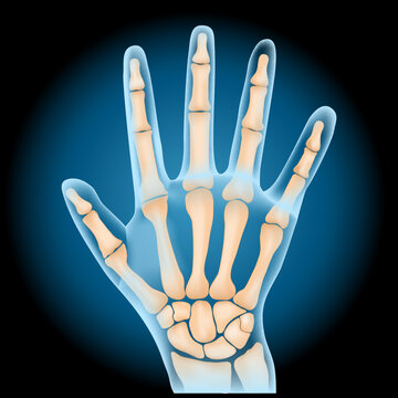 Carpal bones. x-ray blue realistic palm on dark background.