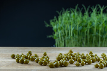Group young legumes green pea scattered close up on wooden platform. Micro greens plant pisum grow on black background. Germination of beanstalk crop seeds. Healthy nutrition mineral organic food. - obrazy, fototapety, plakaty