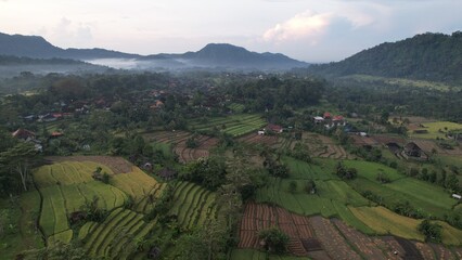 Bali, Indonesia - November 13, 2022: The Bali Terrace Rice Fields