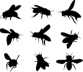 Vector bee silhouettes on isolated white background