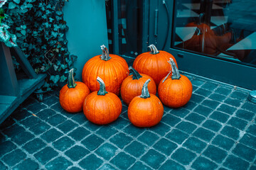 Pumpkins, heather a decorating the steps of a flower shop. Halloween and Thanksgiving day. Festive...