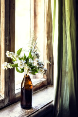 A bottle with blooming jasmine branches by the window in a rustic house