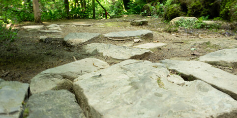 Moss-covered cobblestone in the green forest. Sochi, Lazarevskoe, Berendeevo kingdom