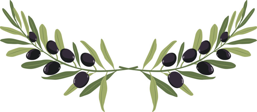 Black Olive Bouguet Vector