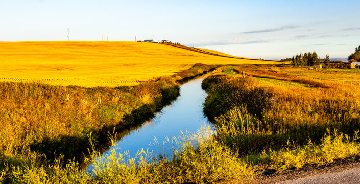 A Drive Through Wheatland County Alberta Canada