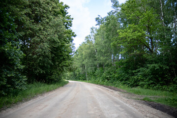 Fototapeta na wymiar winding sand and gravel dirt road in Latvia countryside through green forest