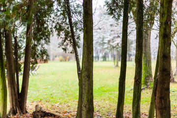 Winter time in the park outdoors