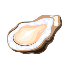 Oyster Isometric Icon