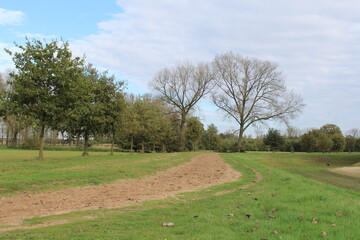 a sand path with trees in an open field of a forest with a water extraction area