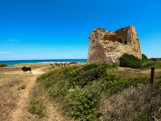 Torre Pozzelle defensive tower in the coast of Ostuni, Brindisi, Italy