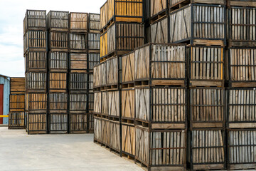rows of wooden crates, crates and pallets for storing and transporting fruits and vegetables in the warehouse. production warehouse on the territory of the agro-industrial complex.