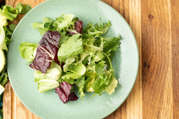 Salad mix leaves background. Fresh Salad Pattern with rucola, purple lettuce, spinach, frisee and chard leaf