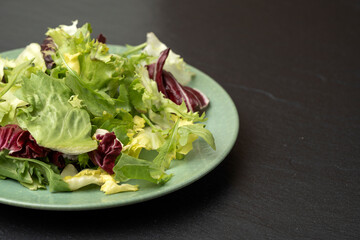 Salad mix leaves background. Fresh Salad Pattern with rucola, purple lettuce, spinach, frisee and chard leaf